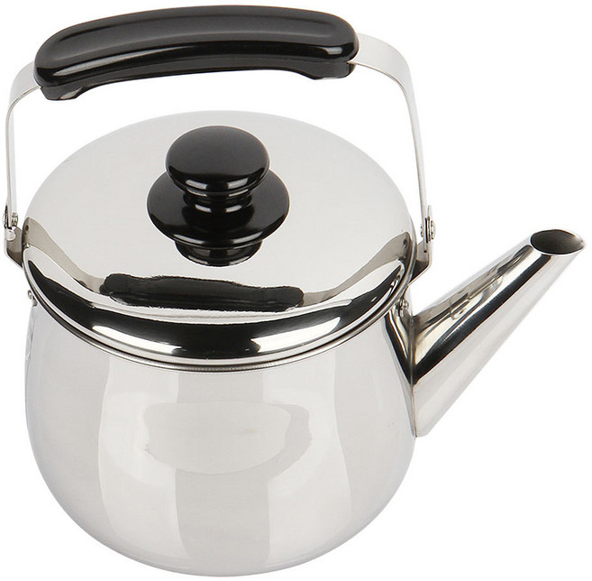 퀸센스 시샘 아이리스 주전자 2, 4.2L, 1개