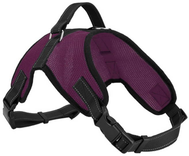KIZBON 애견 하네스 S Y311POP587, 퍼플, 1개