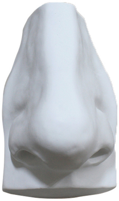 인체 코 석고상