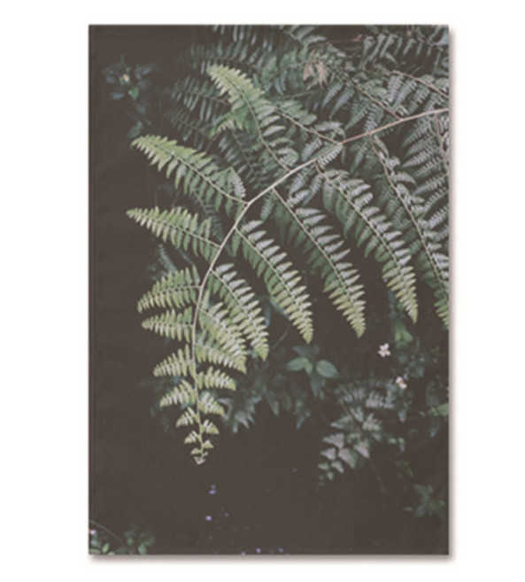 어번던스 포토디자인 가리개 커튼