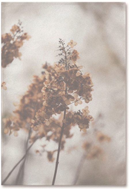 어번던스 포토디자인 가리개 커튼