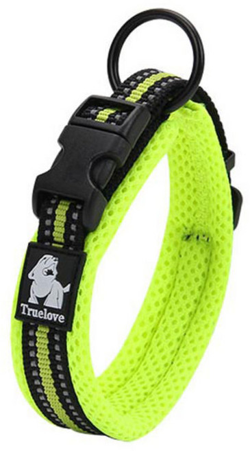 트루러브 대형견 목줄 그린, 1개