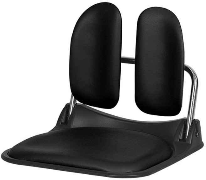 체어클럽 골드백 2500 듀얼좌식의자 인조가죽, 블랙