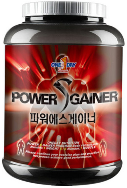 원데이뉴트리션 파워 에스 게이너 헬스 보충제, 2.5kg, 1개