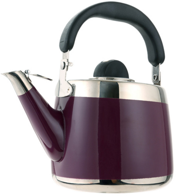 퀸센스 디유 스텐 주전자, 2L, 레드