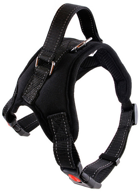 이코디 애견 하네스, B형, 1개