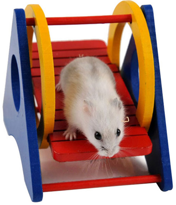 CARNO 햄스터 미니 놀이터, 혼합색상, 1개