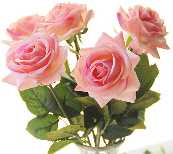 리버그린 리얼 장미 6송이, 핑크, 1개