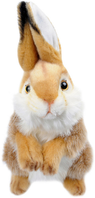 한사토이 3316번 토끼 봉제인형, 32cm, 카멜, 1개