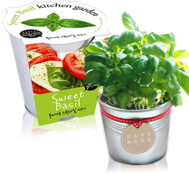 세경팜 양철키친가든 텃밭세트, 스윗바실