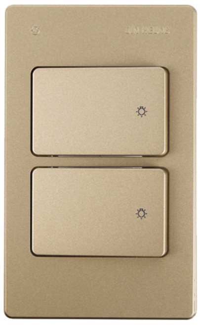 진흥전기 V시리즈 브라운 단로 2구스위치, 1개