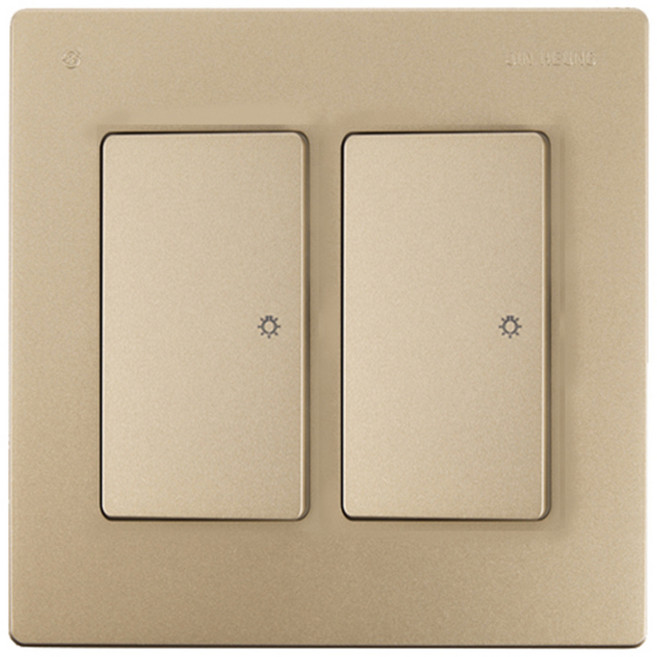 진흥전기 V시리즈 브라운 중 2구 스위치, 1개