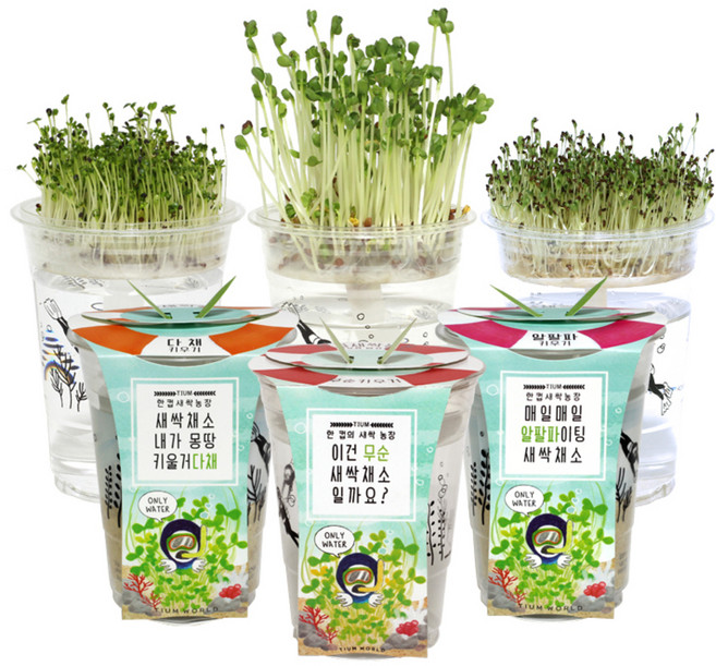틔움세상 한컵 새싹 농장 무순 + 다채 + 알팔파 키우기 세트, 1세트
