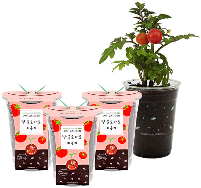 틔움세상 컵가든 식물 키우기세트, 방울토마토