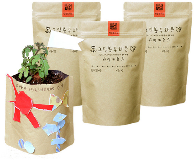 틔움세상 그림 봉투 화분 방울토마토 키우기, 3개입