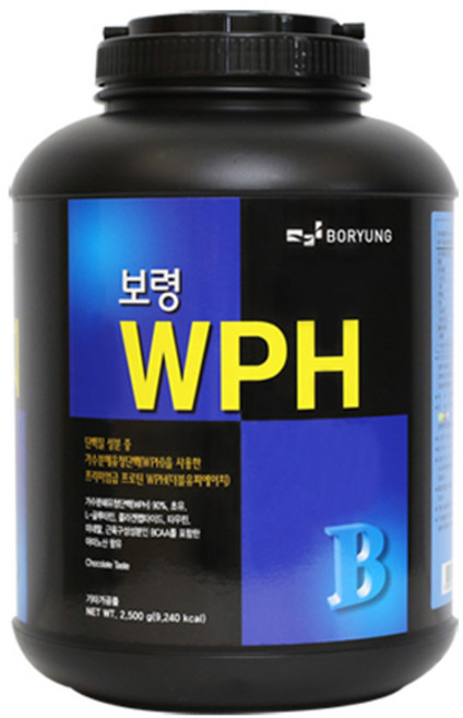 보령 WPH 헬스보충식품, 2.5kg, 1개
