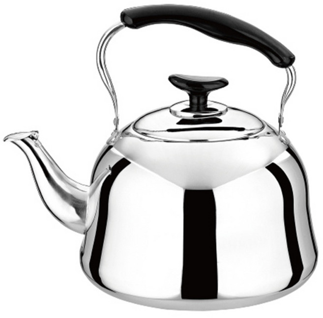 퀸센스 웰라 휘슬 주전자, 5.5L, 혼합 색상