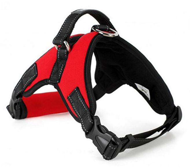 제제펫 애완 보조리드 하네스 레드 Y311PDRH017, 1개