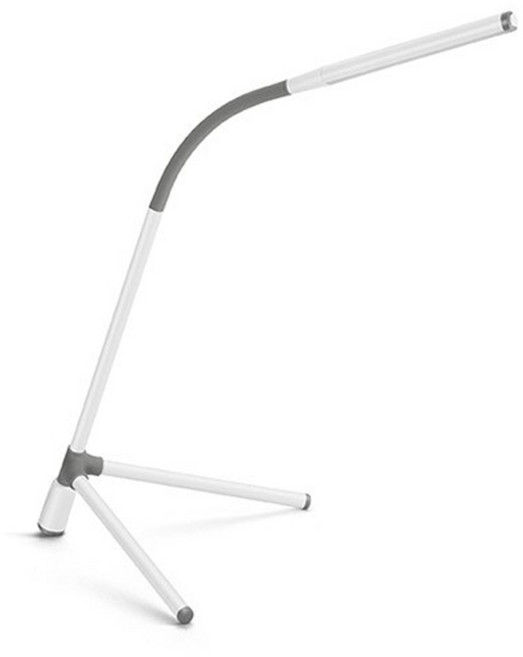 필립스 전기스탠드 66046, White