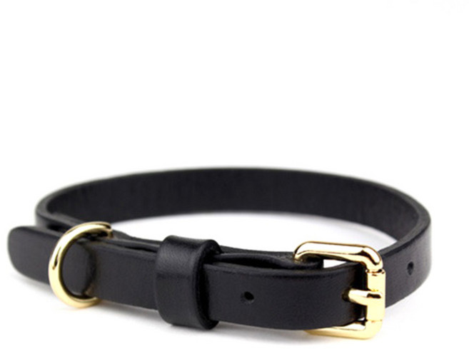 도그데이즈 프리미엄 강아지 가죽 목줄, 블랙, 1개