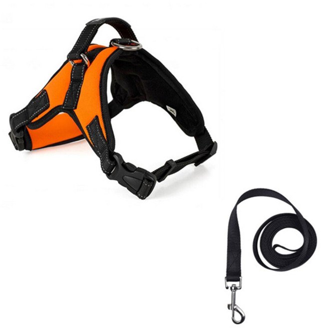 제제펫 보조리드 하네스 XL + 키즈본 리드줄 M 세트, Y311PDRH033, 1세트