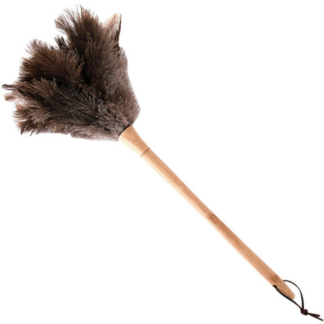 네이쳐리빙 네이쳐 타조 먼지털이개 L, 혼합색상, 1개