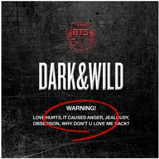 防彈少年團 正規1輯 DARK&WILD, 1CD