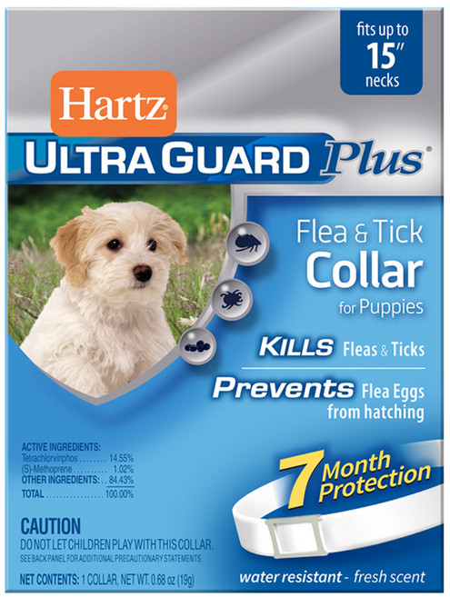 유니참하츠 플러스 강아지 목줄, 1개