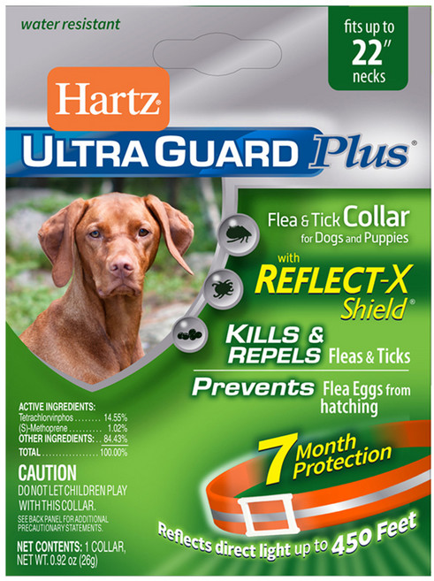 유니참하츠 반사광 오렌지 목줄, 1개