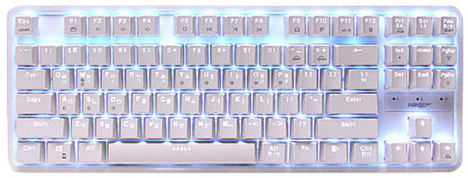 스카이디지탈 LED 텐키리스 기계식 게이밍 키보드 갈축 NKEY Tc RGB, 화이트