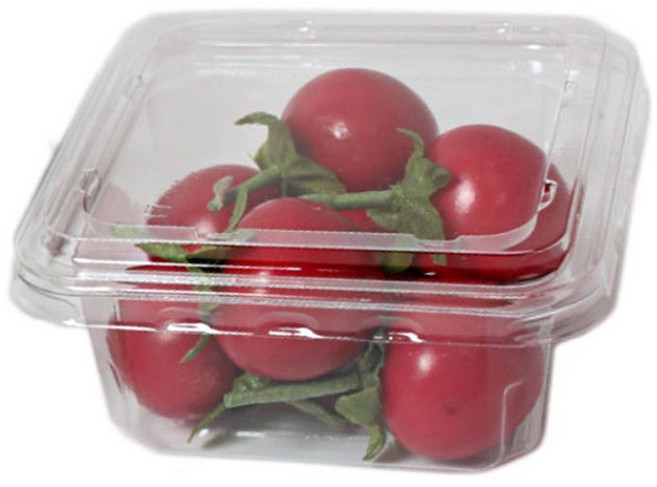 일회용 투명 사각케이스, 50개, 단품