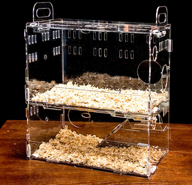 모나코올리브 DIY 햄스터네 투명 아크릴 2층 케이지, 1개