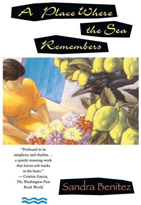 A Place Where the Sea Remembers, Touchstone Books