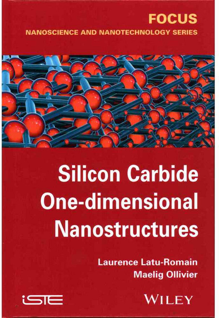 Silicon Carbide One-dimensional Nanostructures, Iste/Hermes Science Pub