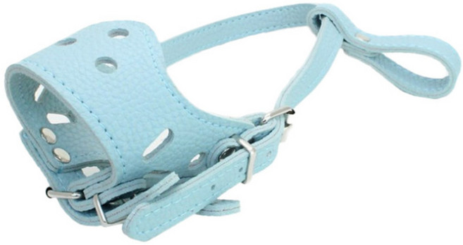 반려동물 훈련용 가죽 입마개 M, 스카이, 1개
