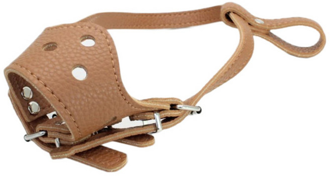 반려동물 훈련용 가죽 입마개 S, 브라운, 1개