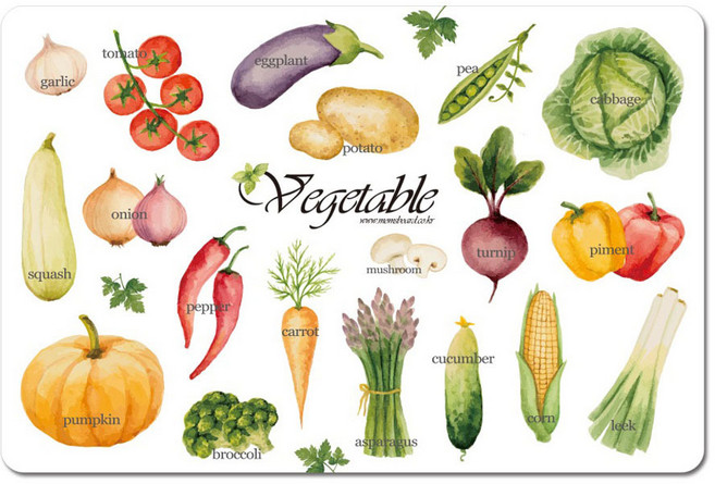 맘스보드 오브제 야채 퍼즐, 1개, 19피스