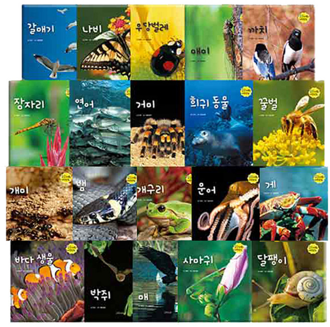 요술지팡이 자연관찰 세트, 그린키즈