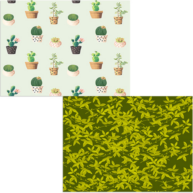 벨라 실리콘 식탁매트 2p 넝쿨 레몬 + 다육선인장2, 혼합 색상, 385 x 285 mm, 1개