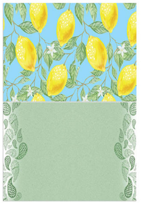 로엠디자인 실리콘 식탁매트 2p 레몬, 물방울, 385 x 285 mm