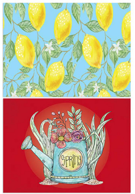 로엠디자인 실리콘 식탁매트 2p 레몬, 화분03, 385 x 285 mm