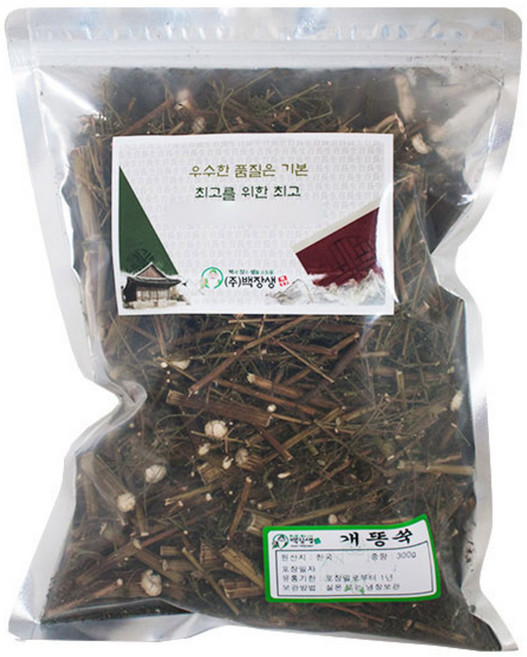 백장생 개똥쑥, 300g, 1개