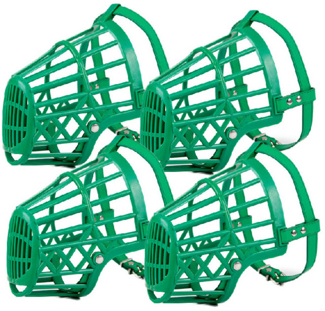 아리코 고양이와 강아지 입커버 2호, 그린, 4개