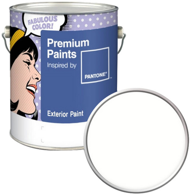 노루페인트 팬톤 실외 벽면 저광 페인트, 11-0602 Snow White, 4L, 1개