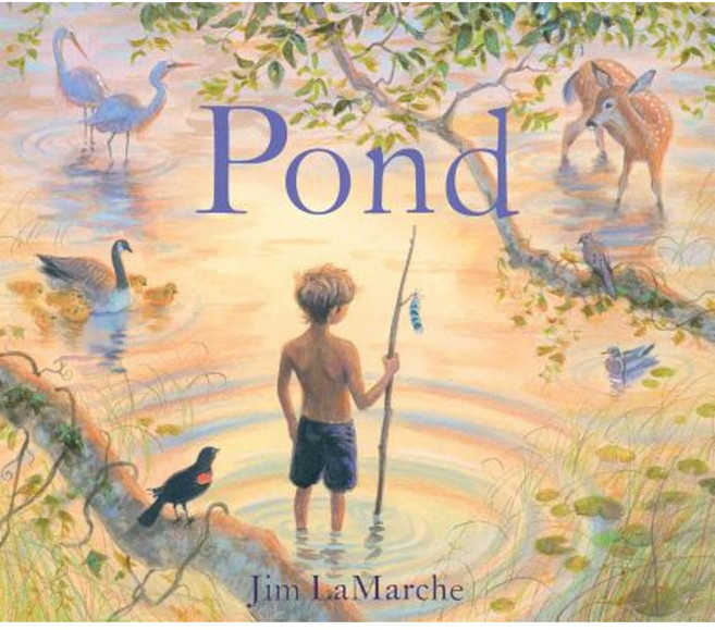 Pond Hardcover, Simon & Schuster/Paula Wiseman Books