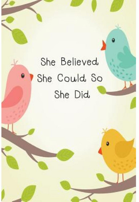 She Believed She Could So She Did: Chevron Notebook (Owl Composition Book Journal) (6x 9 Large) Paperback, Createspace Independent Publishing Platform
