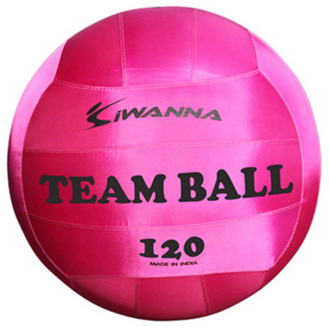 아이워너 팀볼, 핑크, 1개