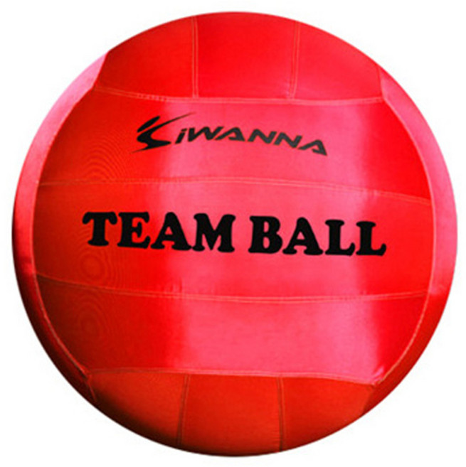 아이워너 팀볼, 레드, 1개