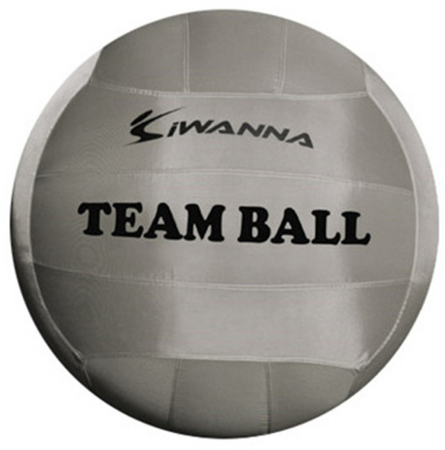 아이워너 팀볼, 그레이, 1개