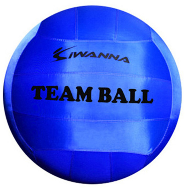 아이워너 팀볼, 블루, 1개